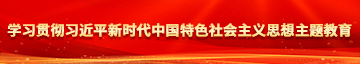 美女操毛网站学习贯彻习近平新时代中国特色社会主义思想主题教育